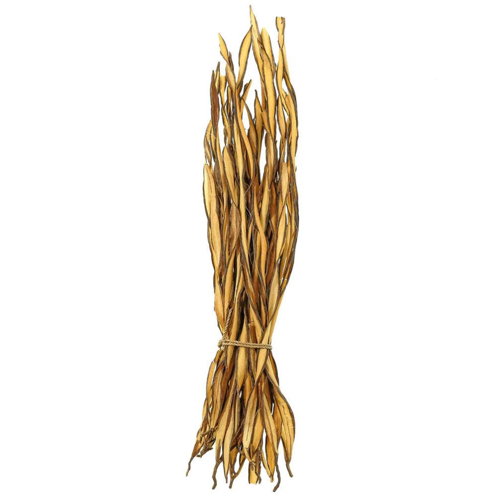 Fagot d'herbe fire grass - 35 cm