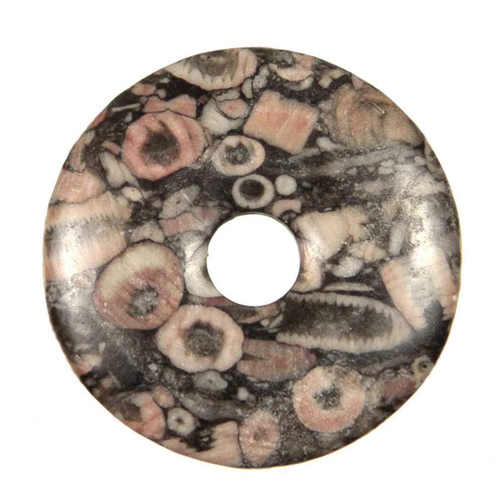 Donut crinoïde fossilisée 3 cm