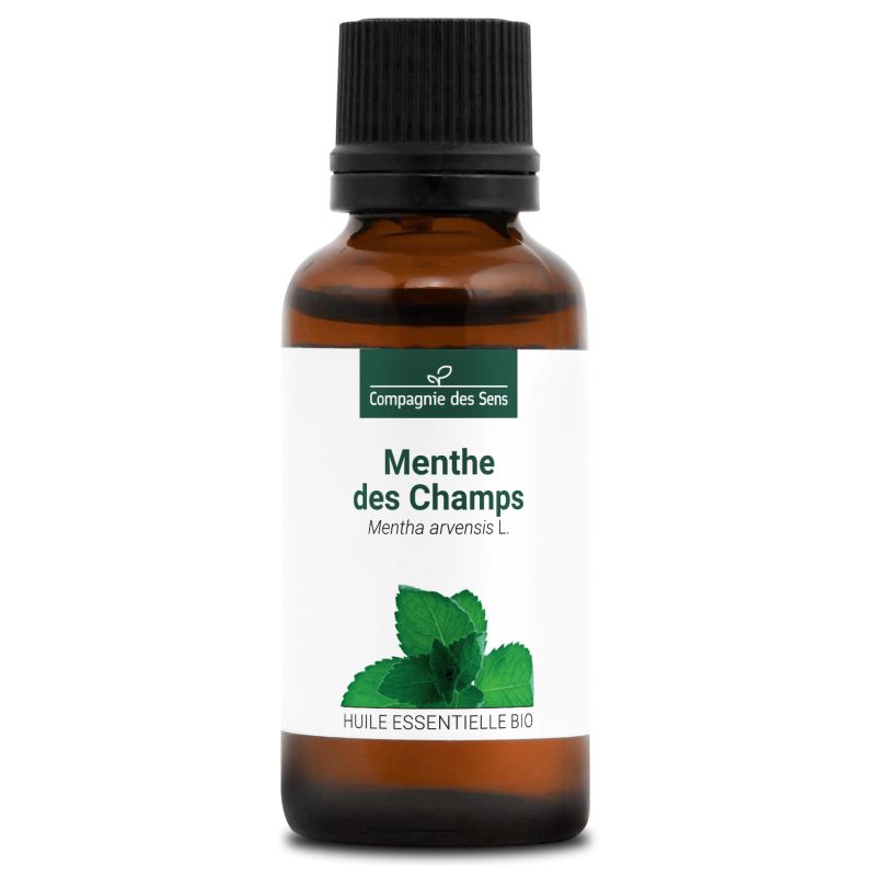 Menthe des champs bio - 30ml