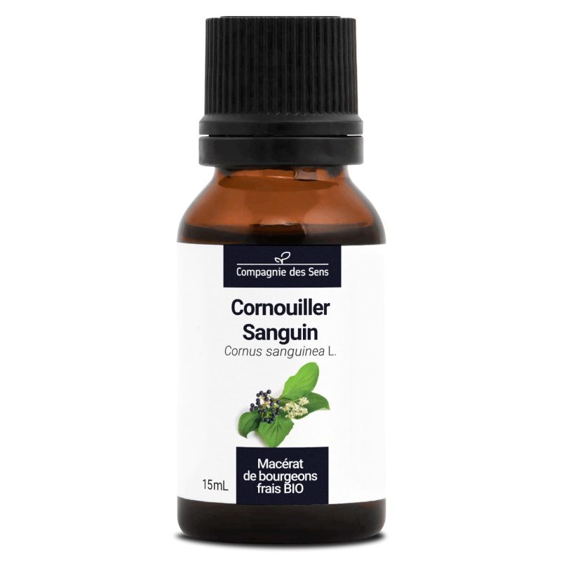 Cornouiller sanguin bio - 15ml 15