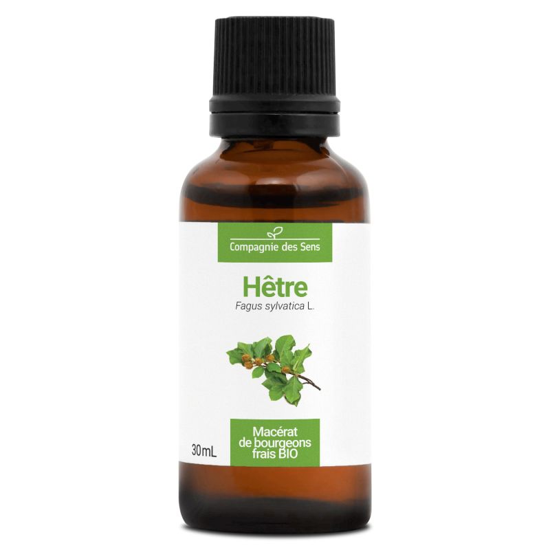 Hêtre bio - 30ml 30