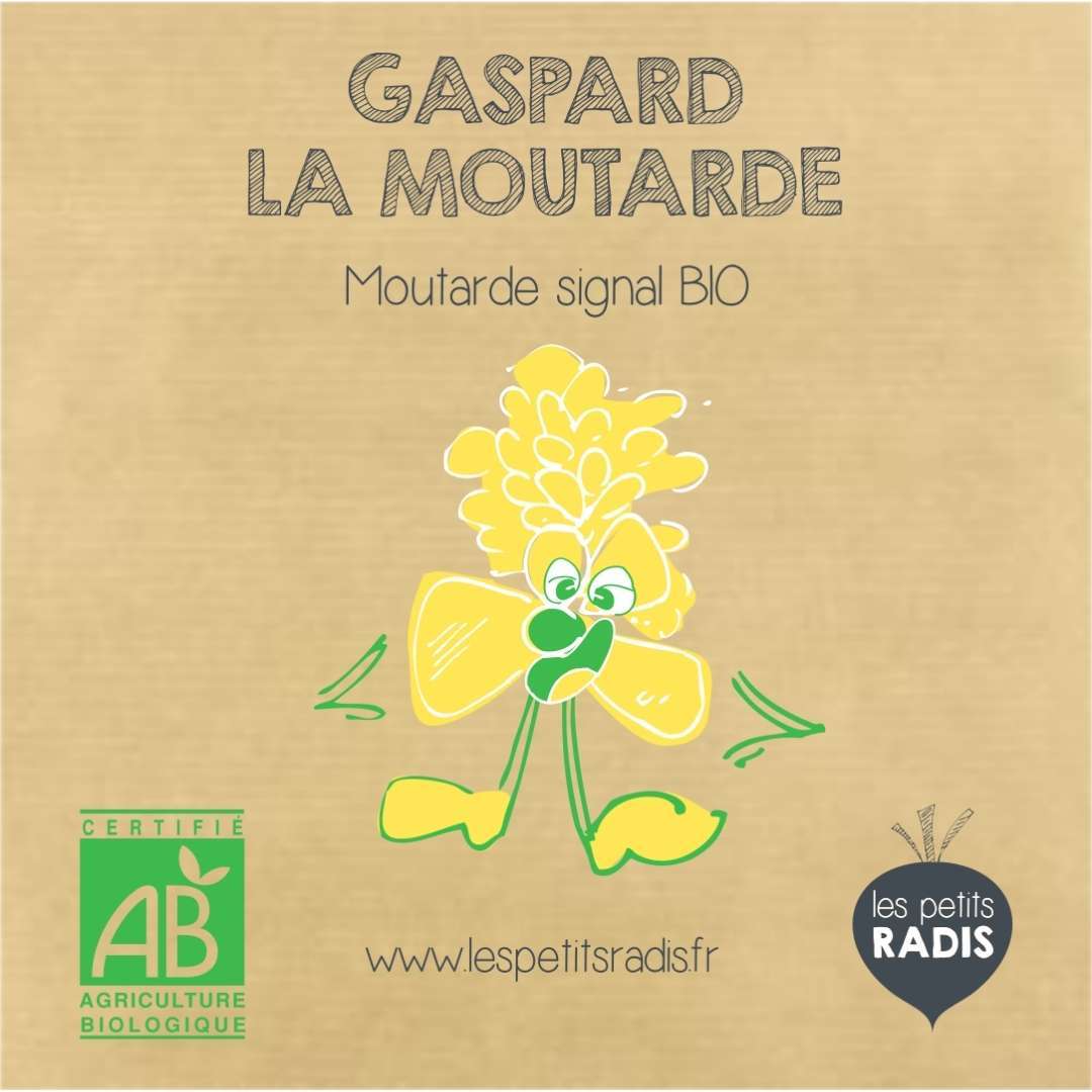 Mini kit gaspard graines de moutarde bio