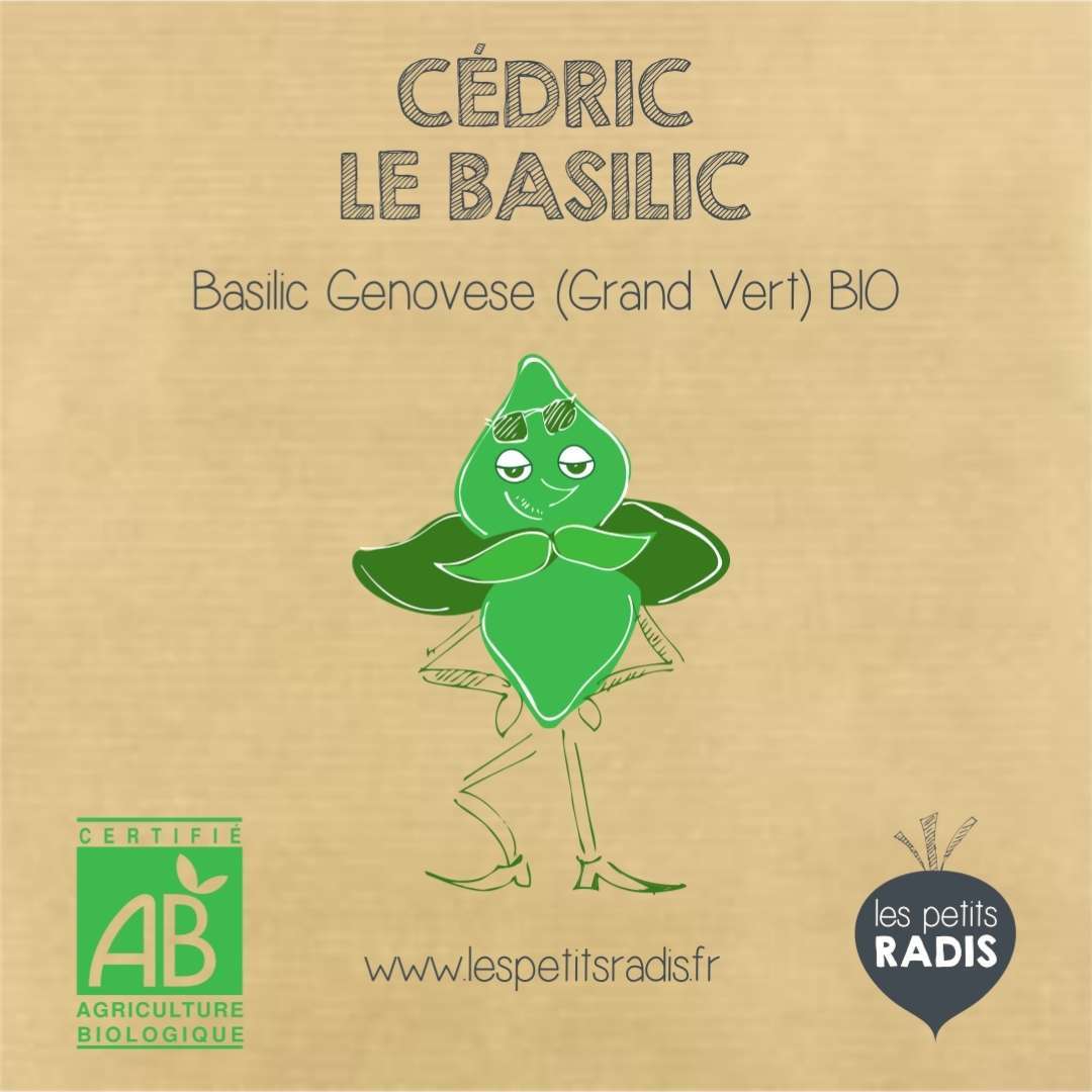 Mini kit cédric graines de basilic bio