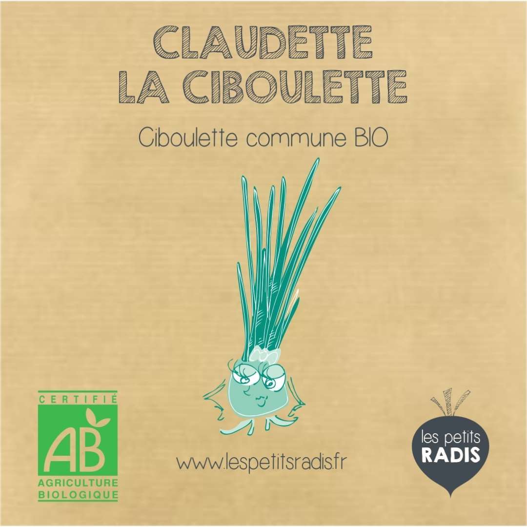 Mini kit semis claudette ciboulette bio