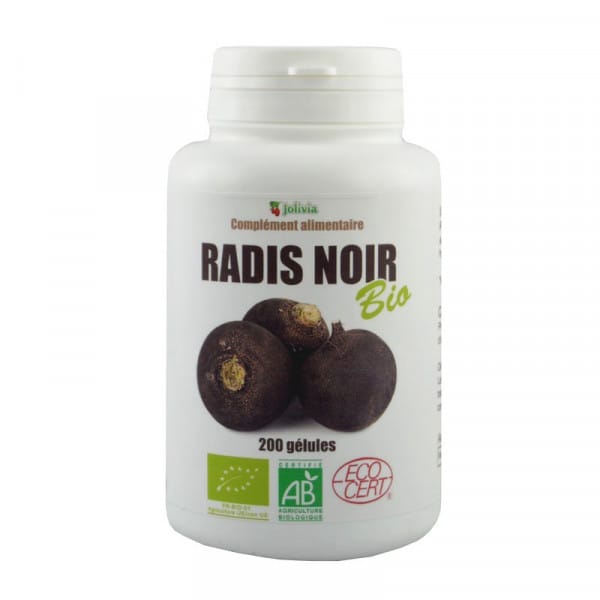 Radis noir bio