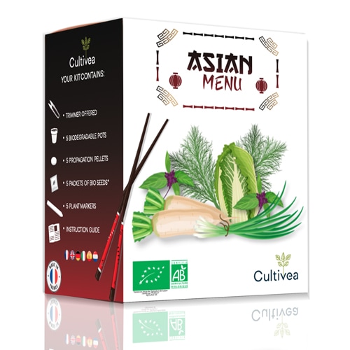 Kit prêt à pousser menu asiatique bio*