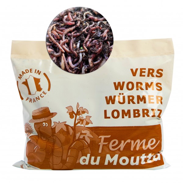 500gr de vers de compost lombric