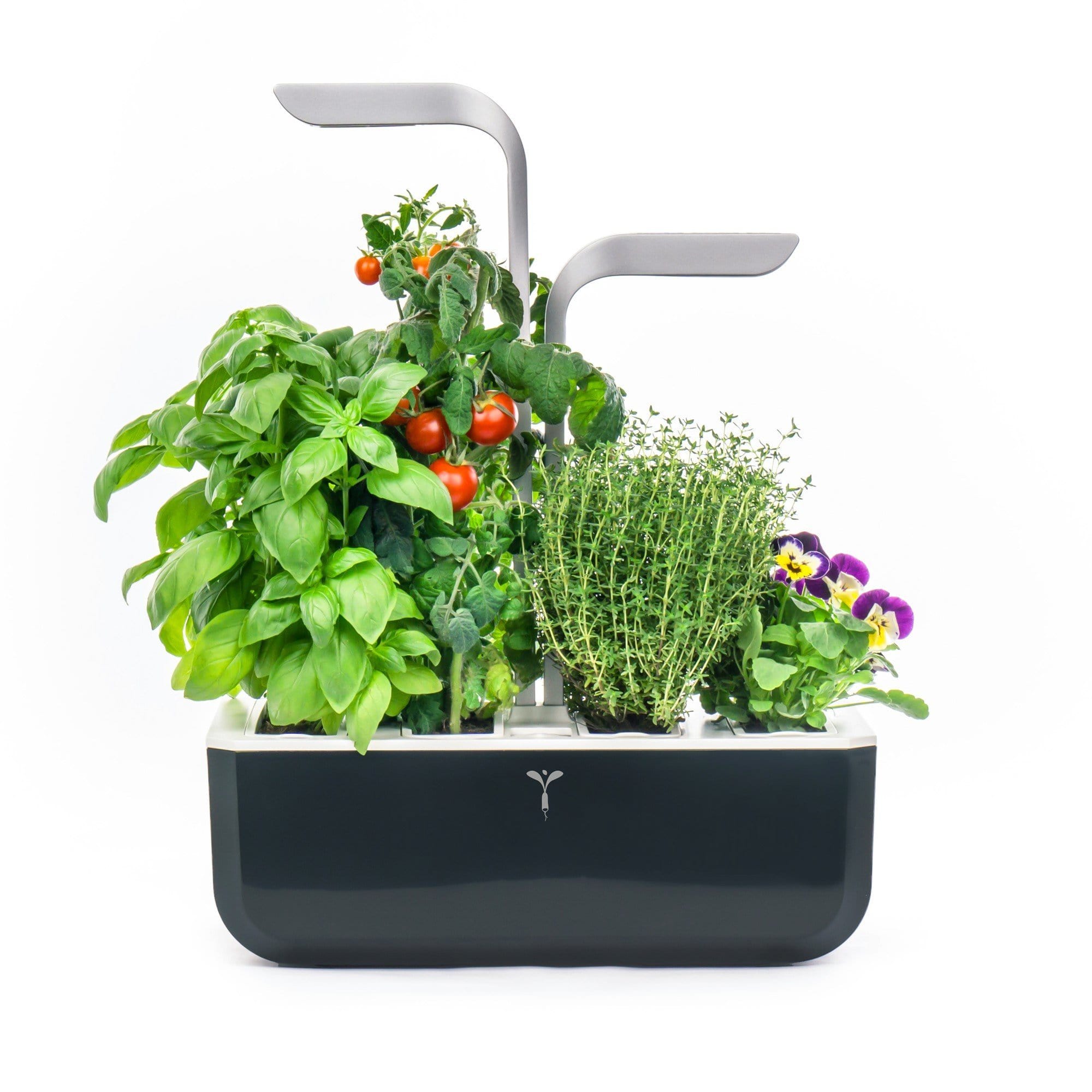 Potager d'intérieur véritable smart