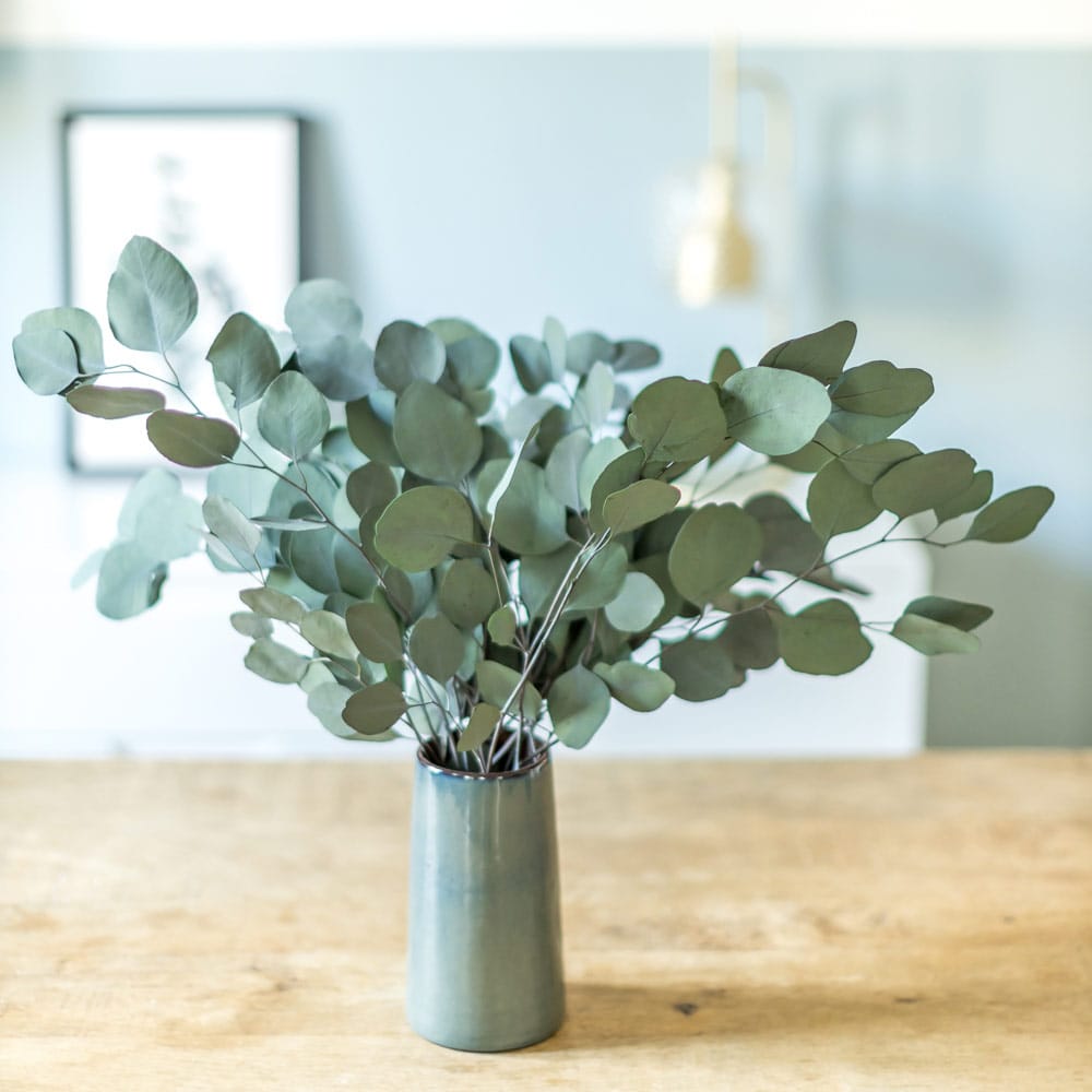 Bouquet de fleurs séchées eucalyptus