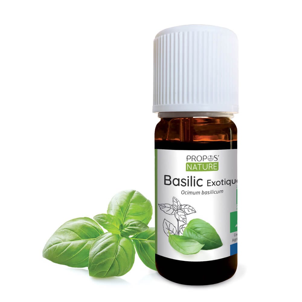 Basilic exotique bio - huile essentielle