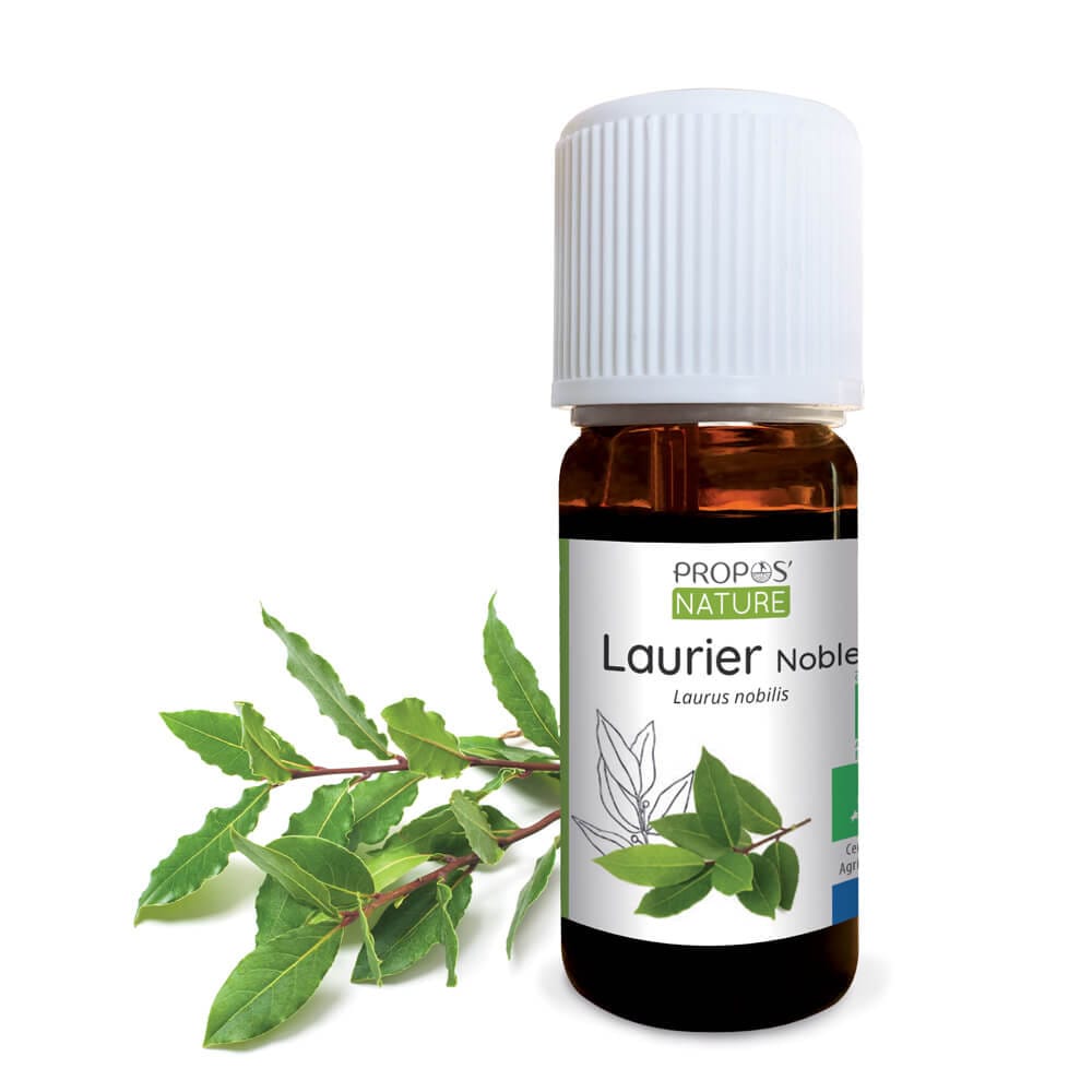 Laurier noble bio - huile essentielle