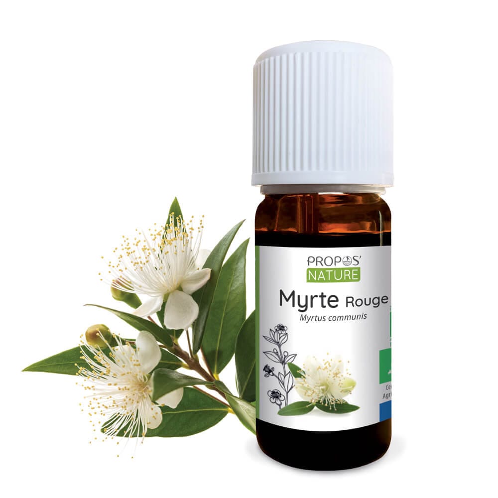 Myrte bio - huile essentielle