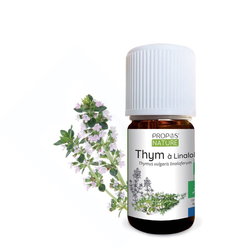 Thym à linalol bio - huile essentielle