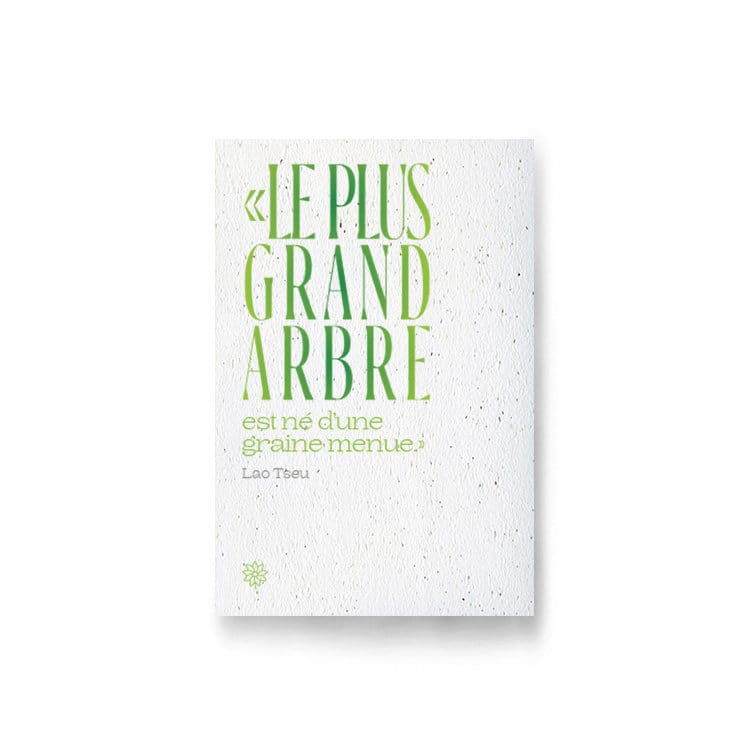 Carte à planter - lao et le grand arbre