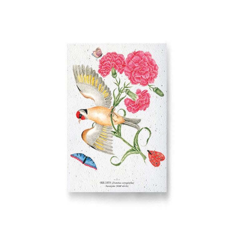 Carte à planter - œillet et oiseau