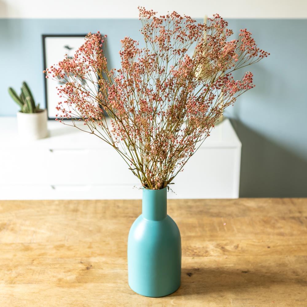 Bouquet de fleurs séchées : gypsophile