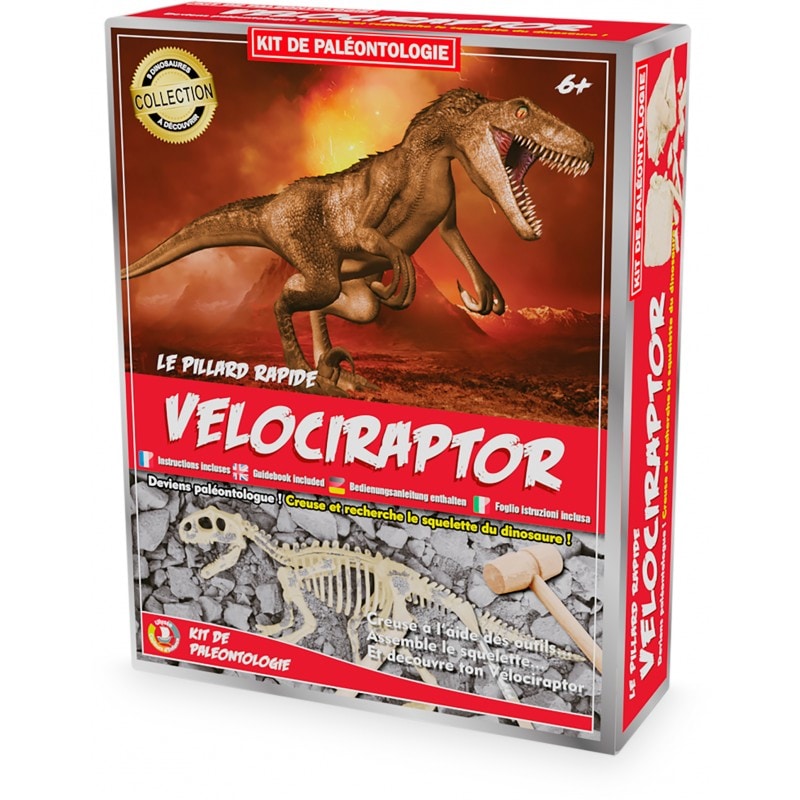 Kit paleo - vélociraptor