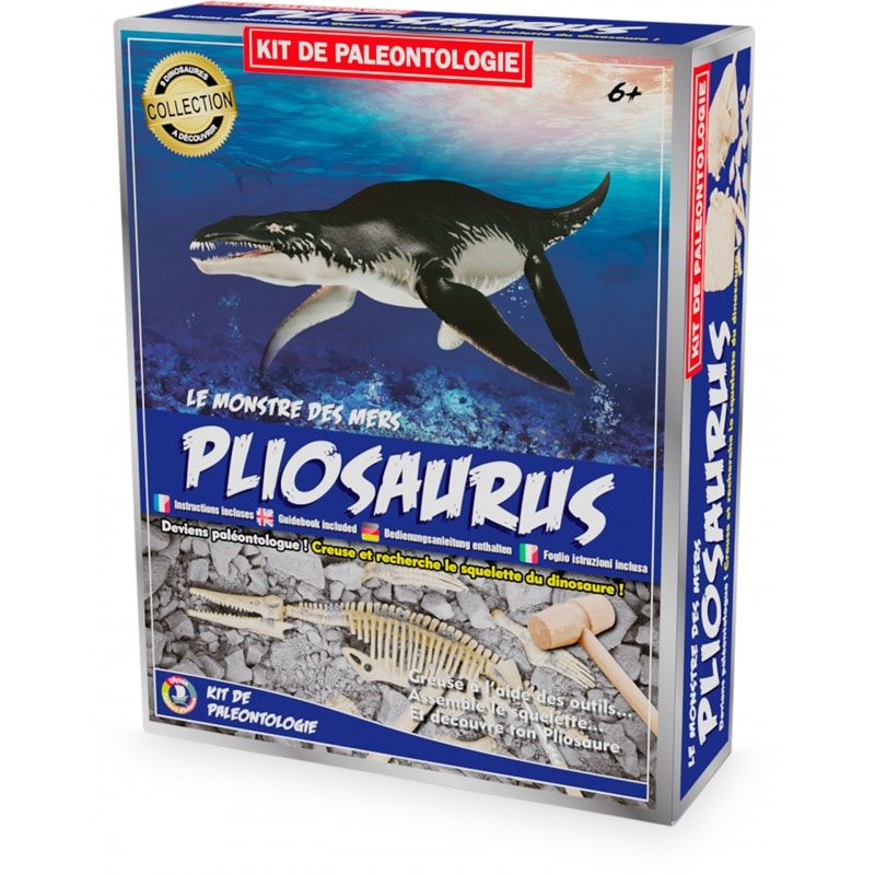 Kit paleo - pliosaure