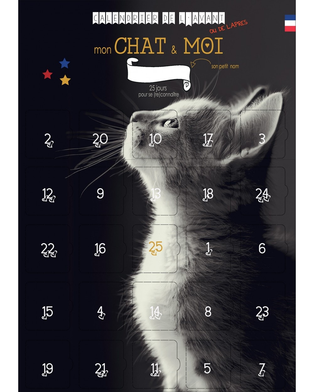 Calendrier mon chat et moi 25 jours