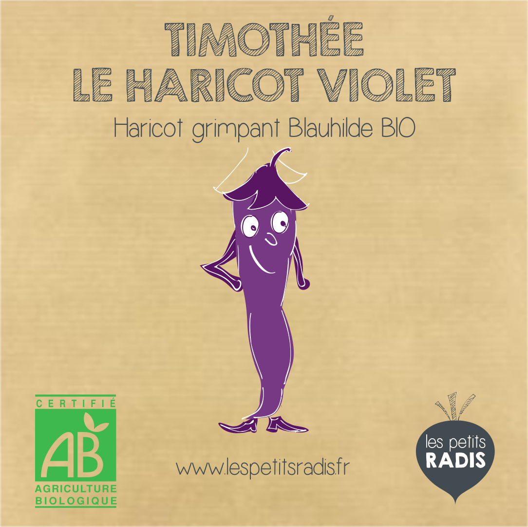 Minikit de graines bio de haricot violet