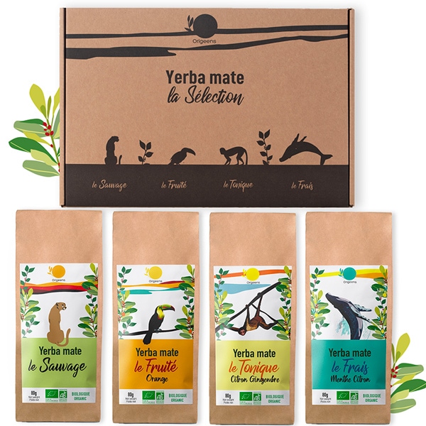 Coffret yerba maté dégustation