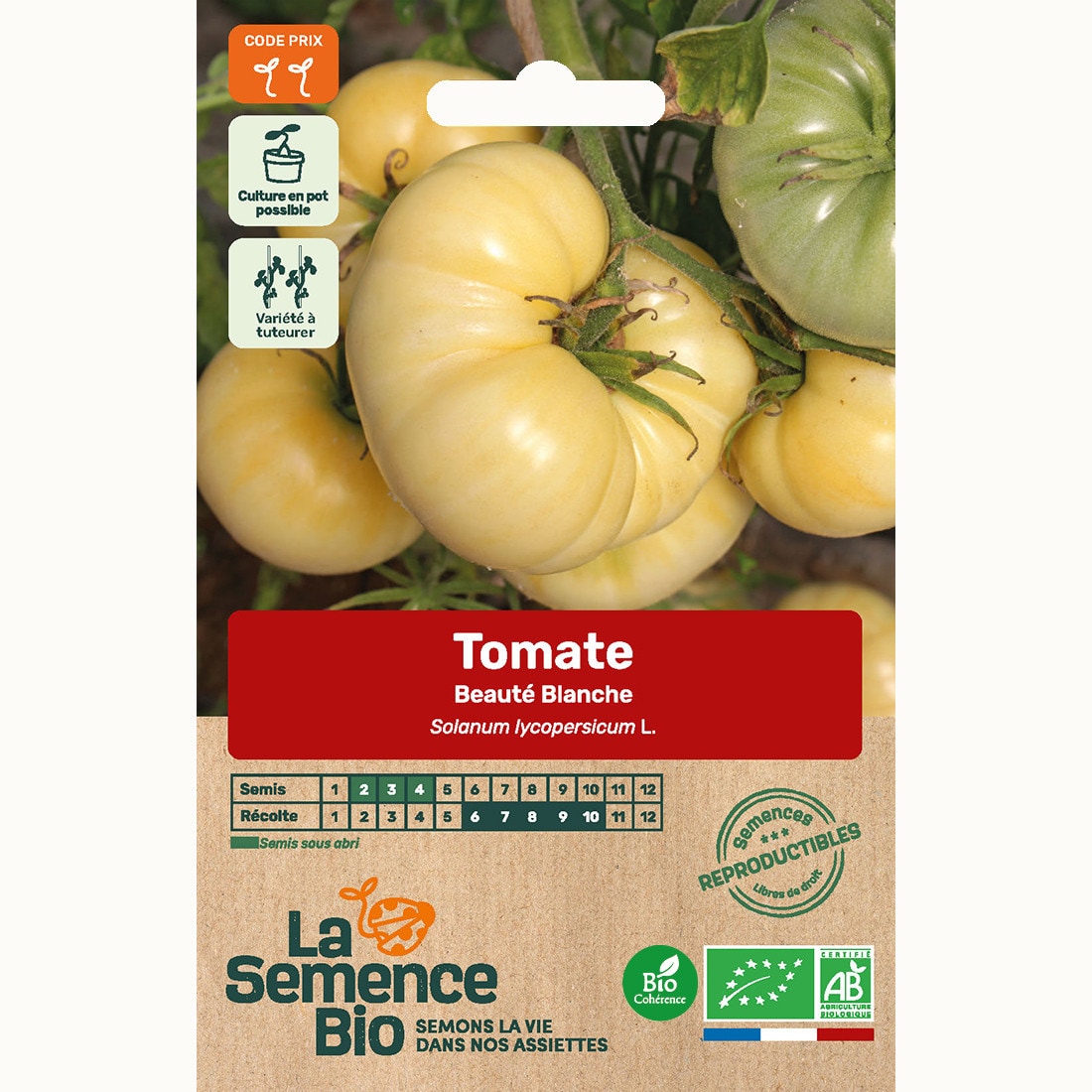 Tomate beauté blanche - graines bio