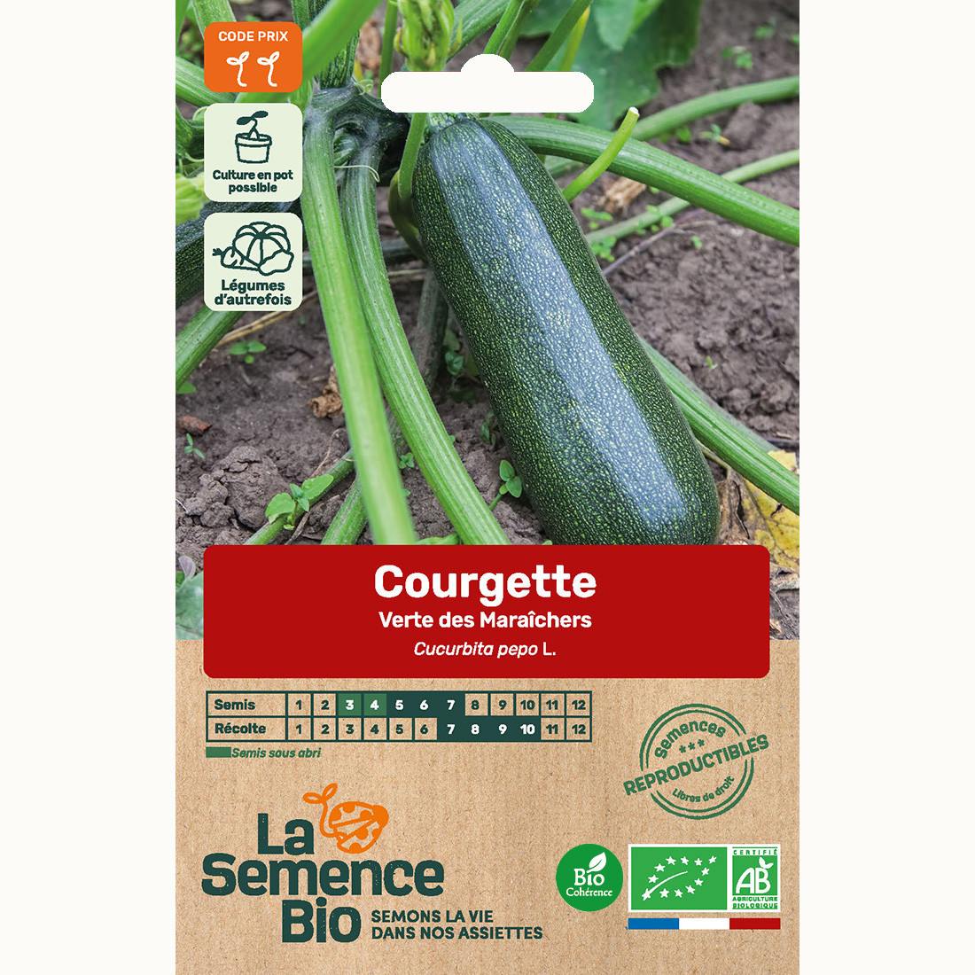 Courgette verte des maraîchers - graine