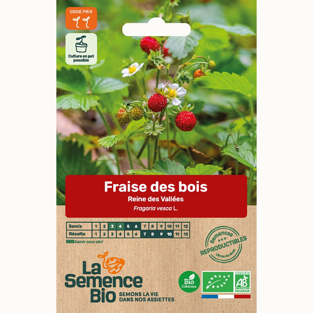 Fraise des bois reine des vallées - gra