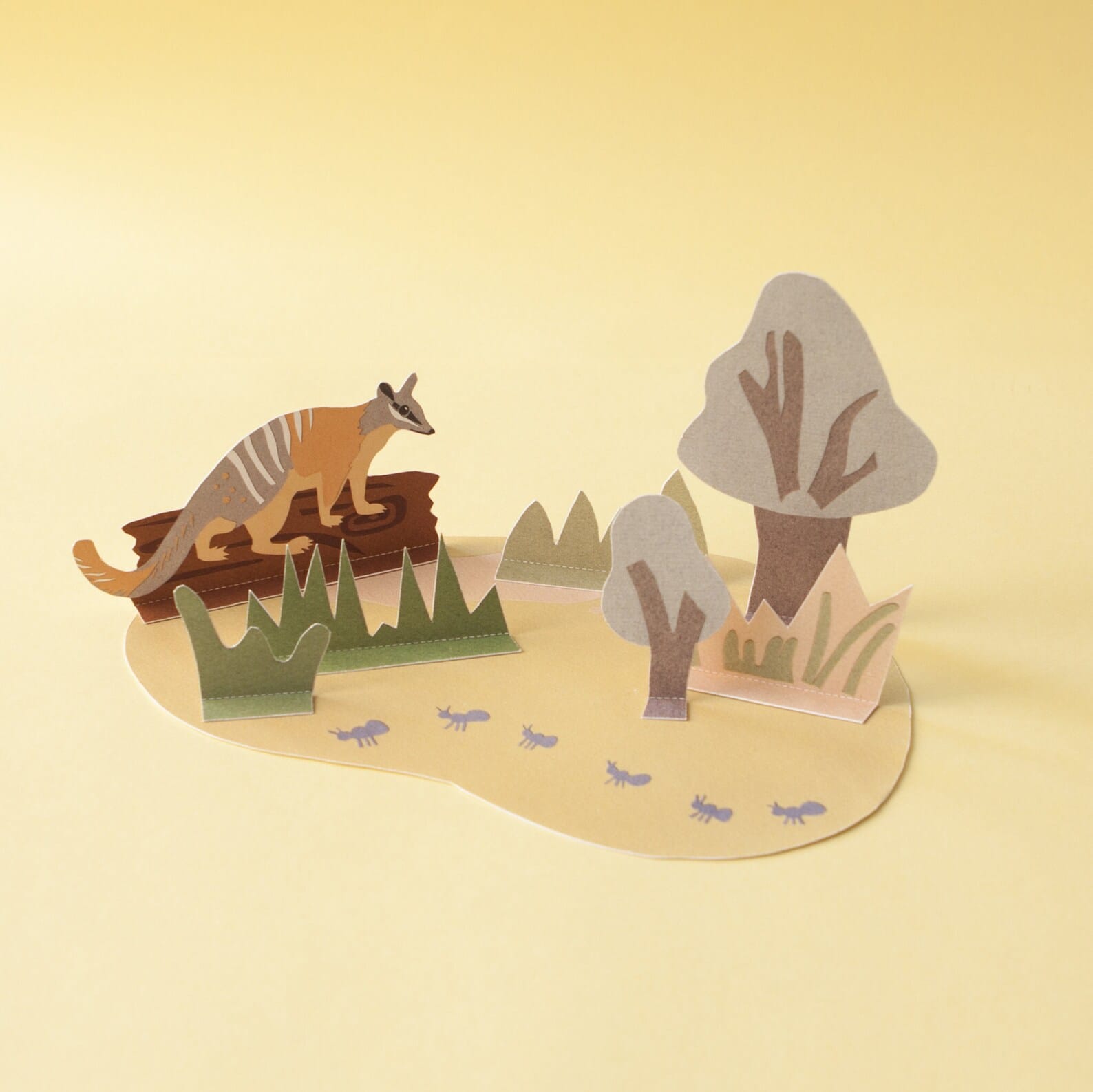 Diorama - le numbat et son habitat