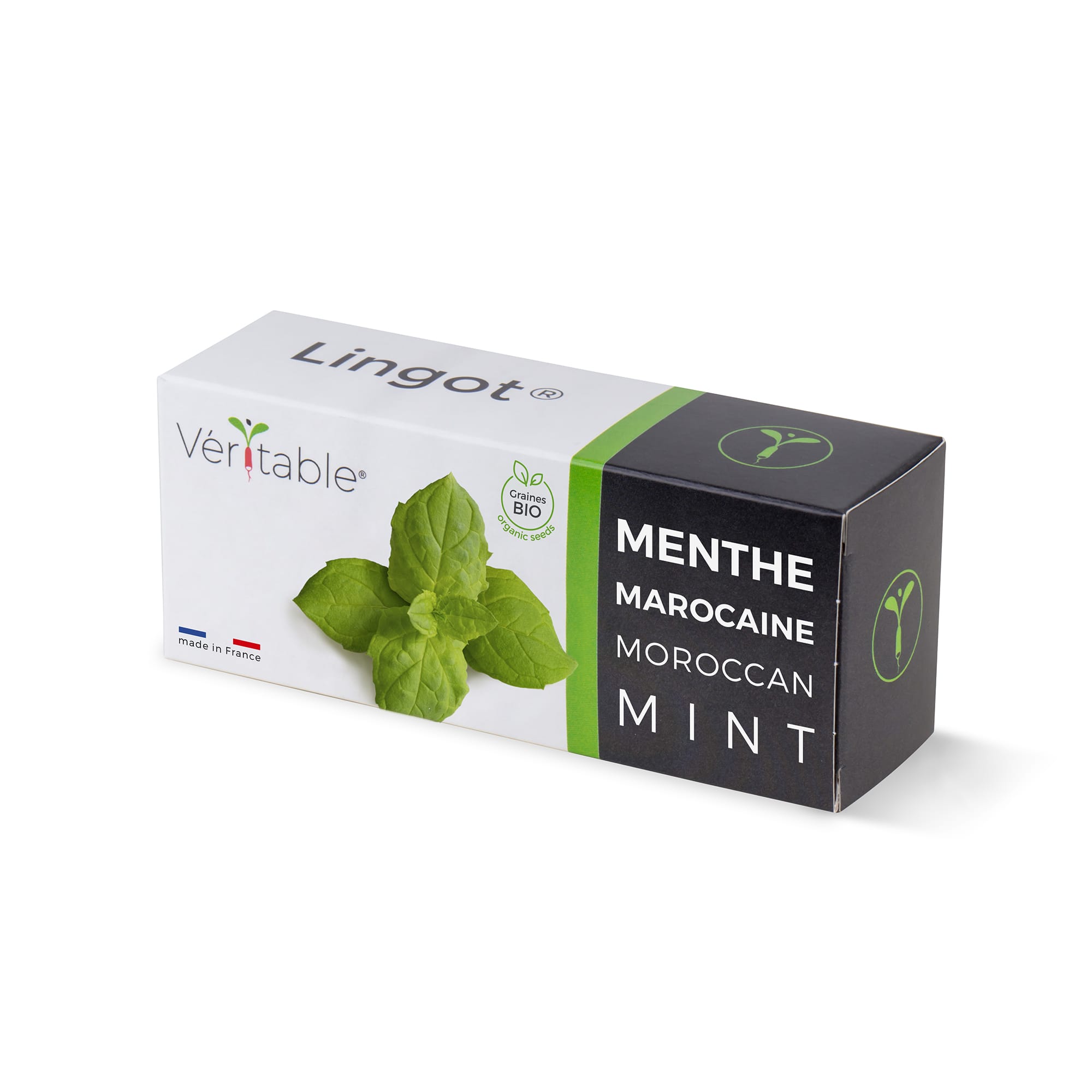 Lingot menthe marocaine bio