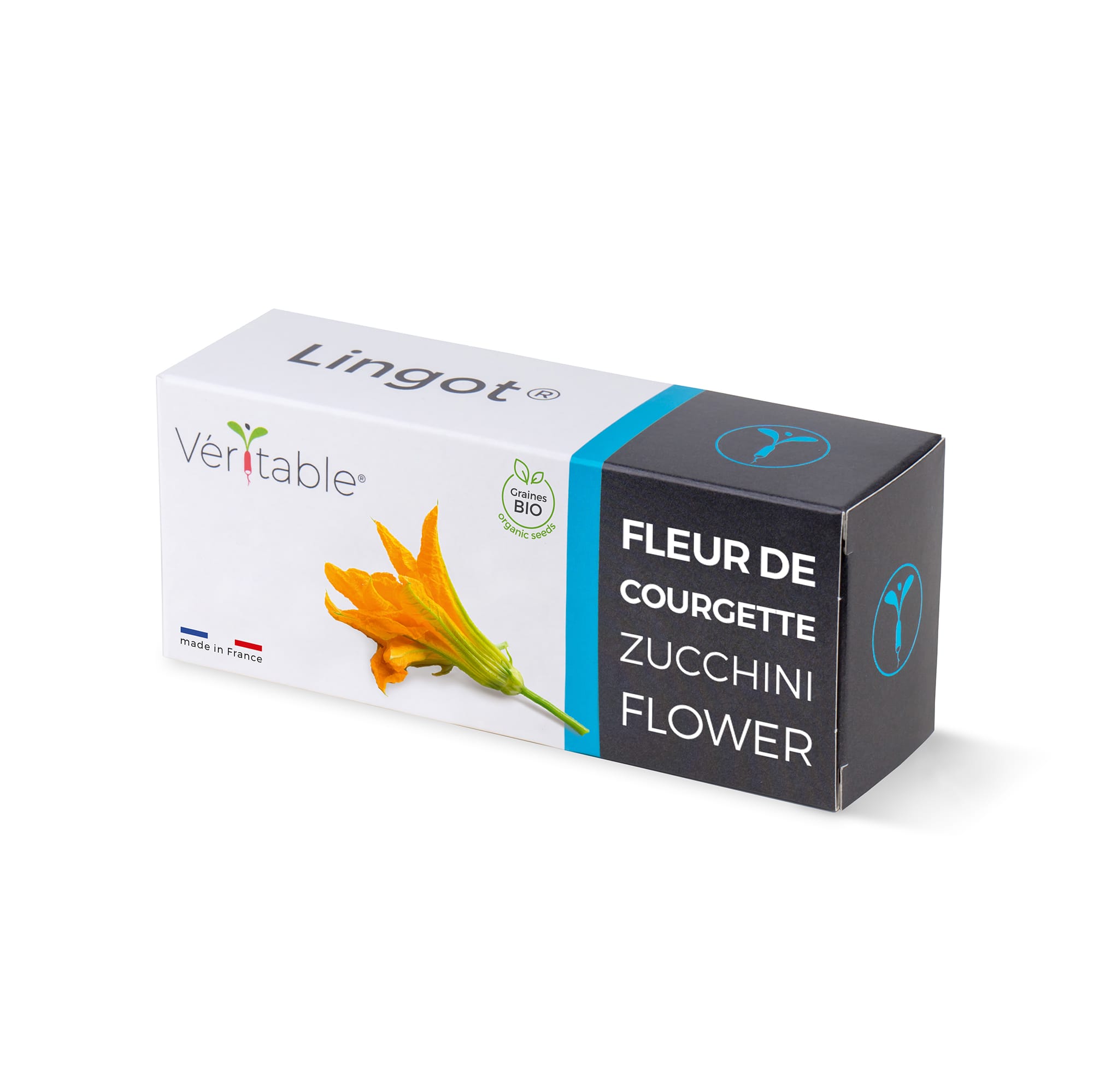 Lingot fleur de courgette bio