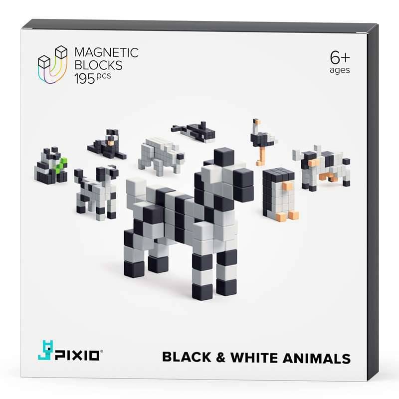 Jeu de construction pixio  black and wh