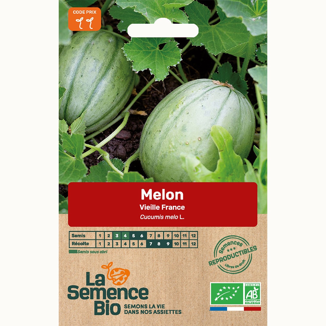 Melon vieille france - graines bio