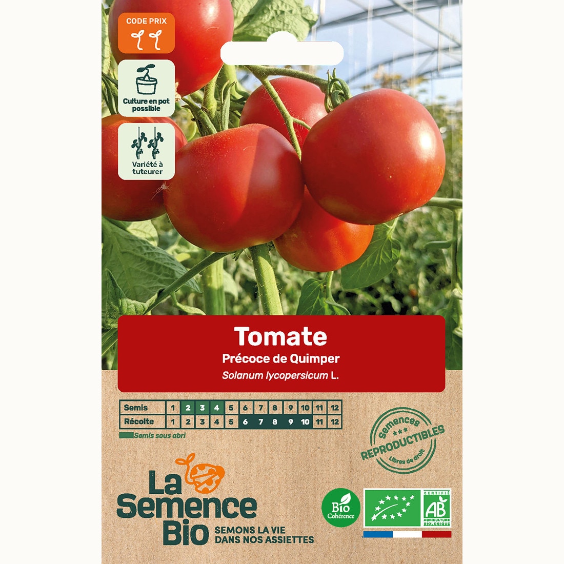 Tomate précoce de quimper - graines bio