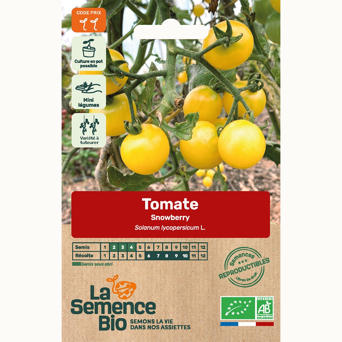 Tomate snowberry - graines bio