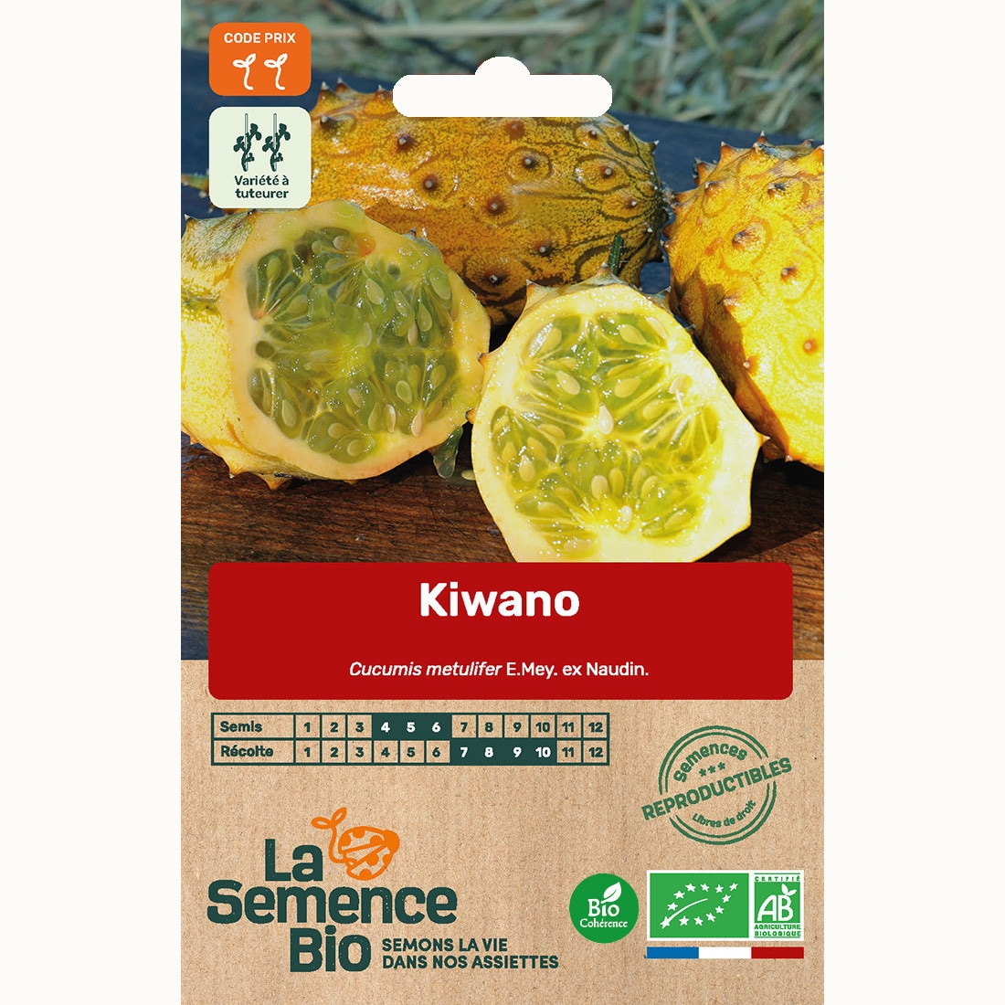 Kiwano - graines bio