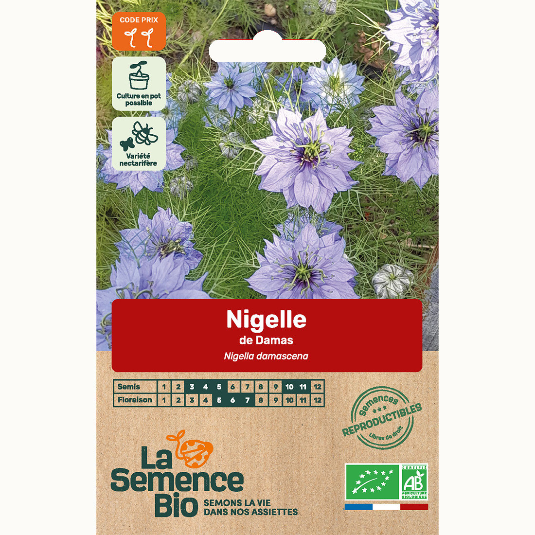 Nigelle de damas - graines bio