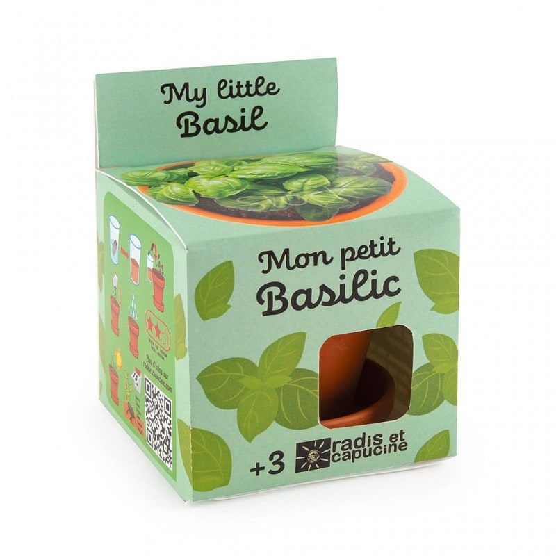 Kit enfant : basilic bio