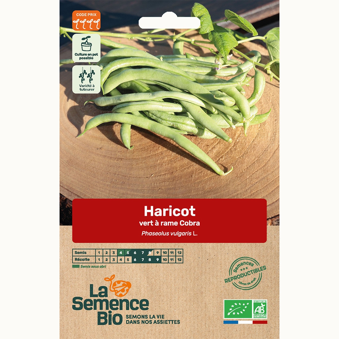 Haricot vert à rame cobra - graines bio