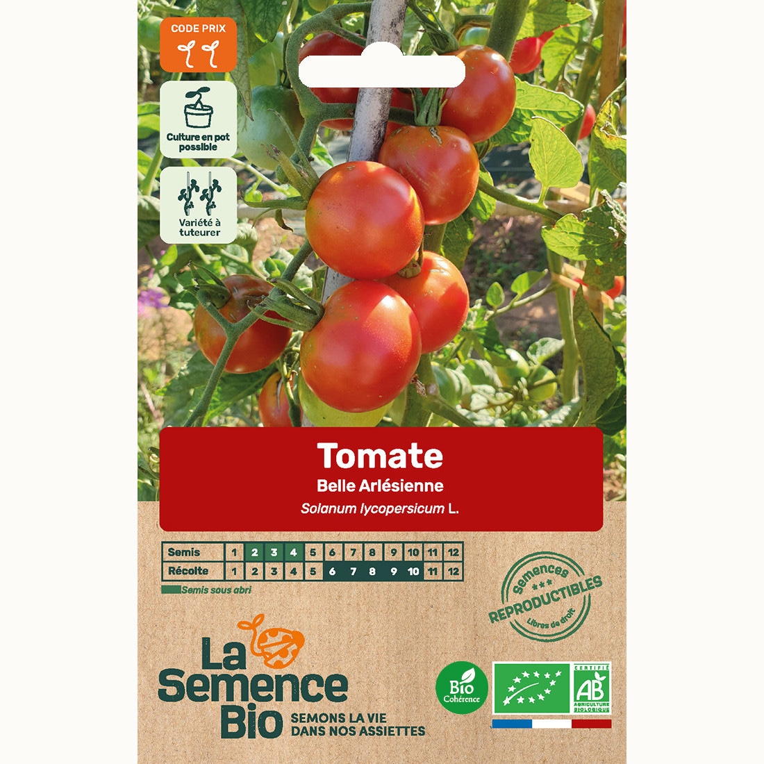 Tomate belle arlésienne - graines bio