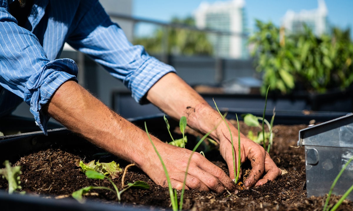 Kit bac potager intelligent format L