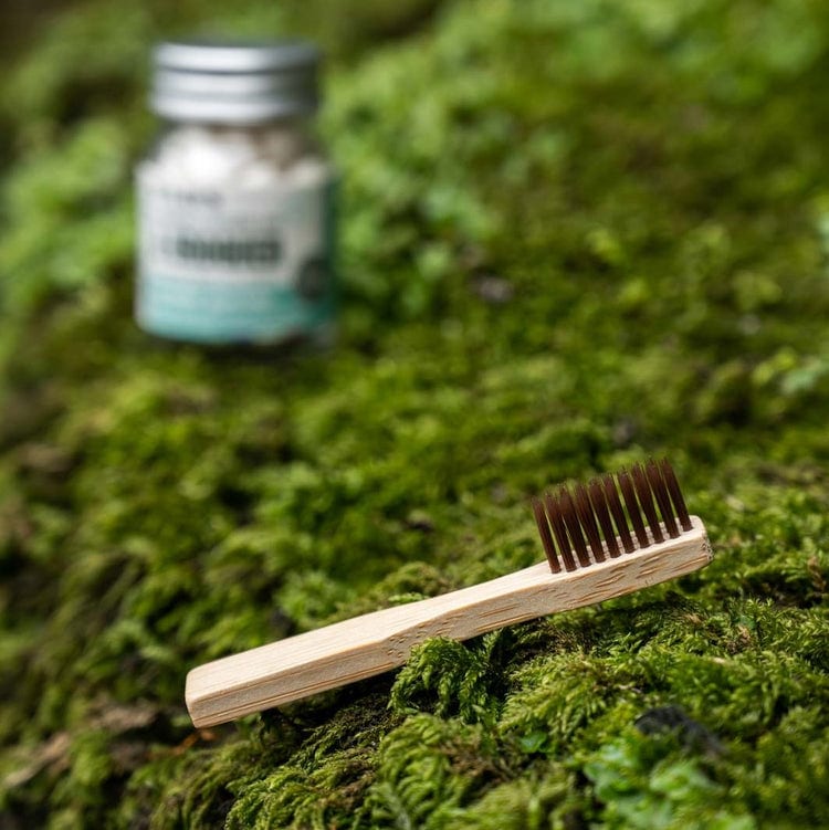 Brosse à dents de voyage en bois