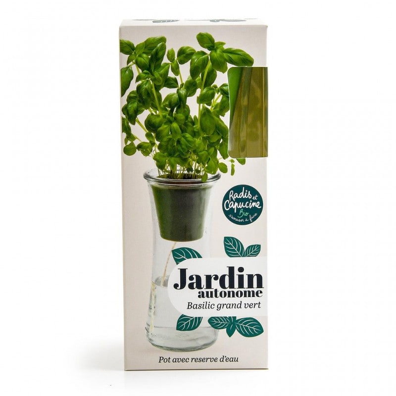 Jardin autonome basilic grand vert bio