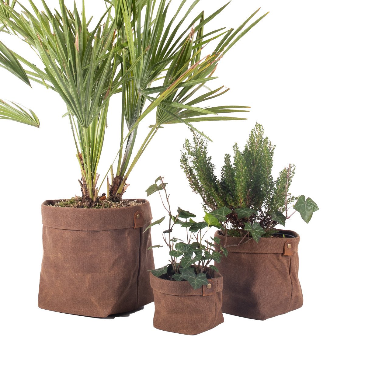 Set de 3 caches pot planter havane