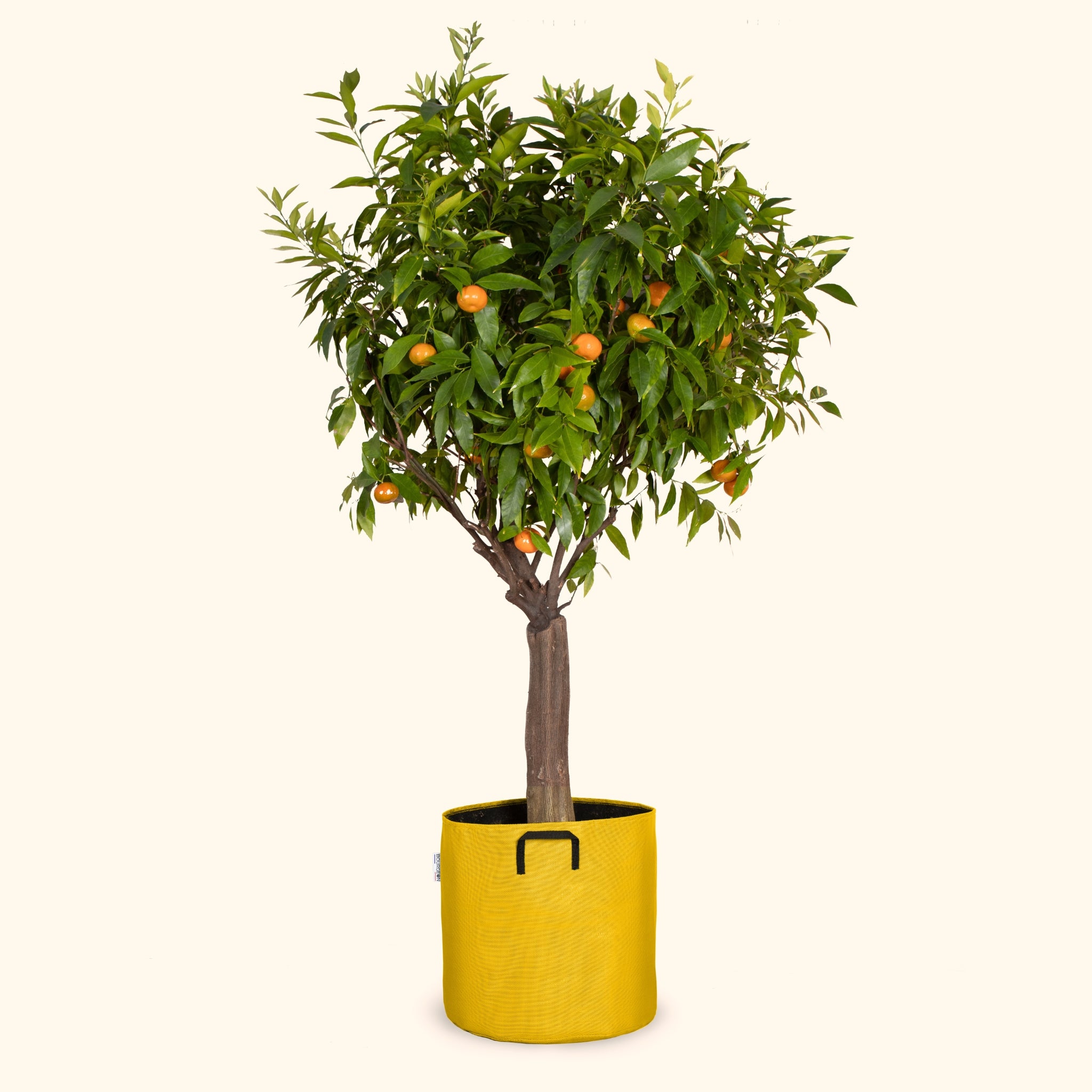 Pot en géotextile respirant jaune - 40cm