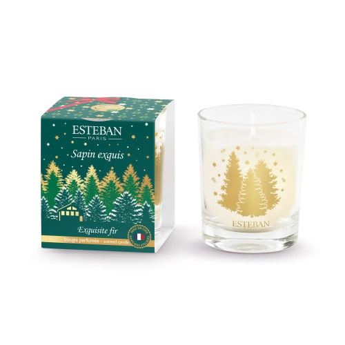 Mini bougie 70g sapin exquis