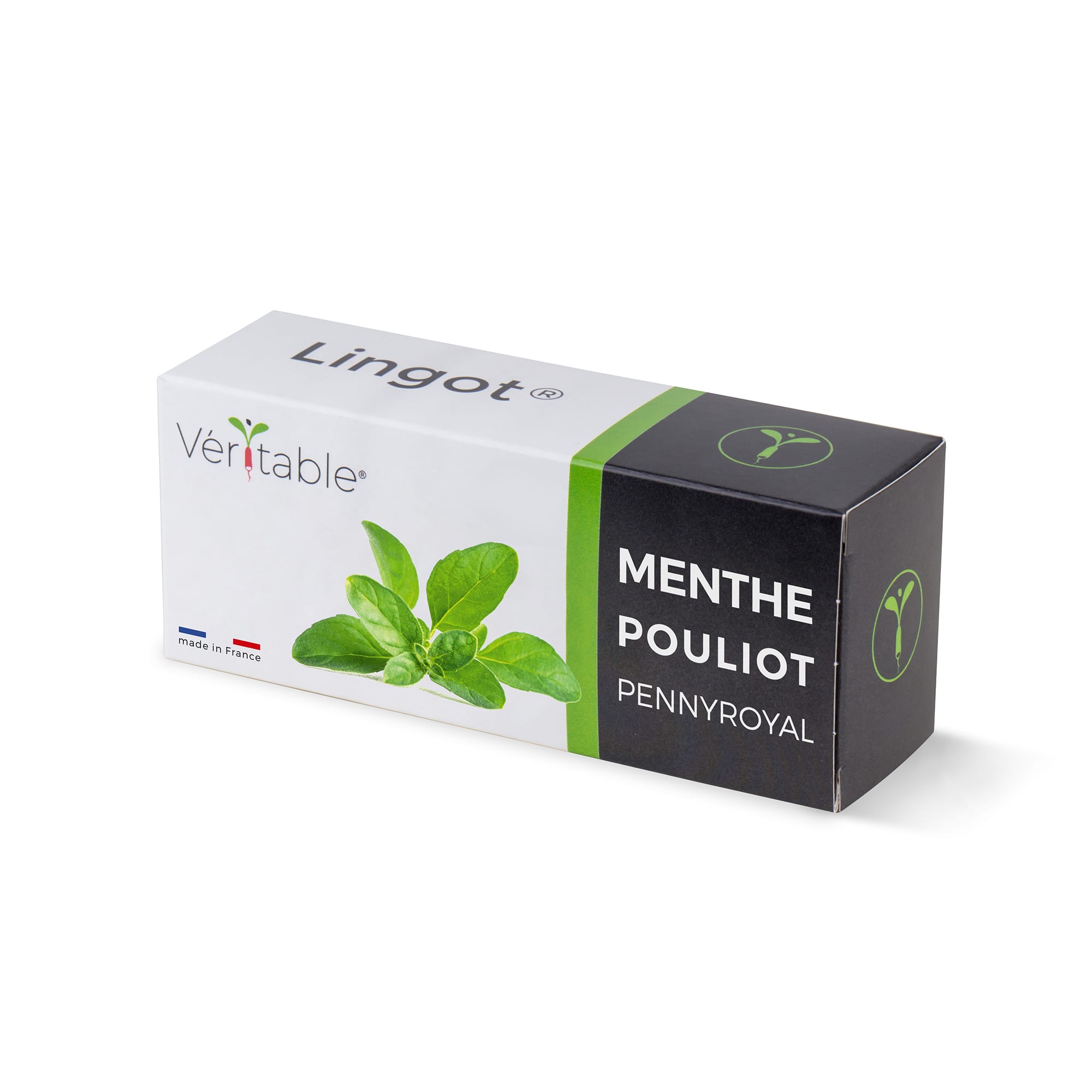 Lingot menthe pouliot