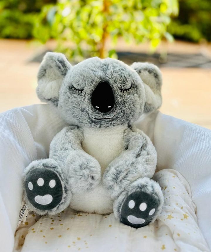 Peluche bouillotte déhoussable koala