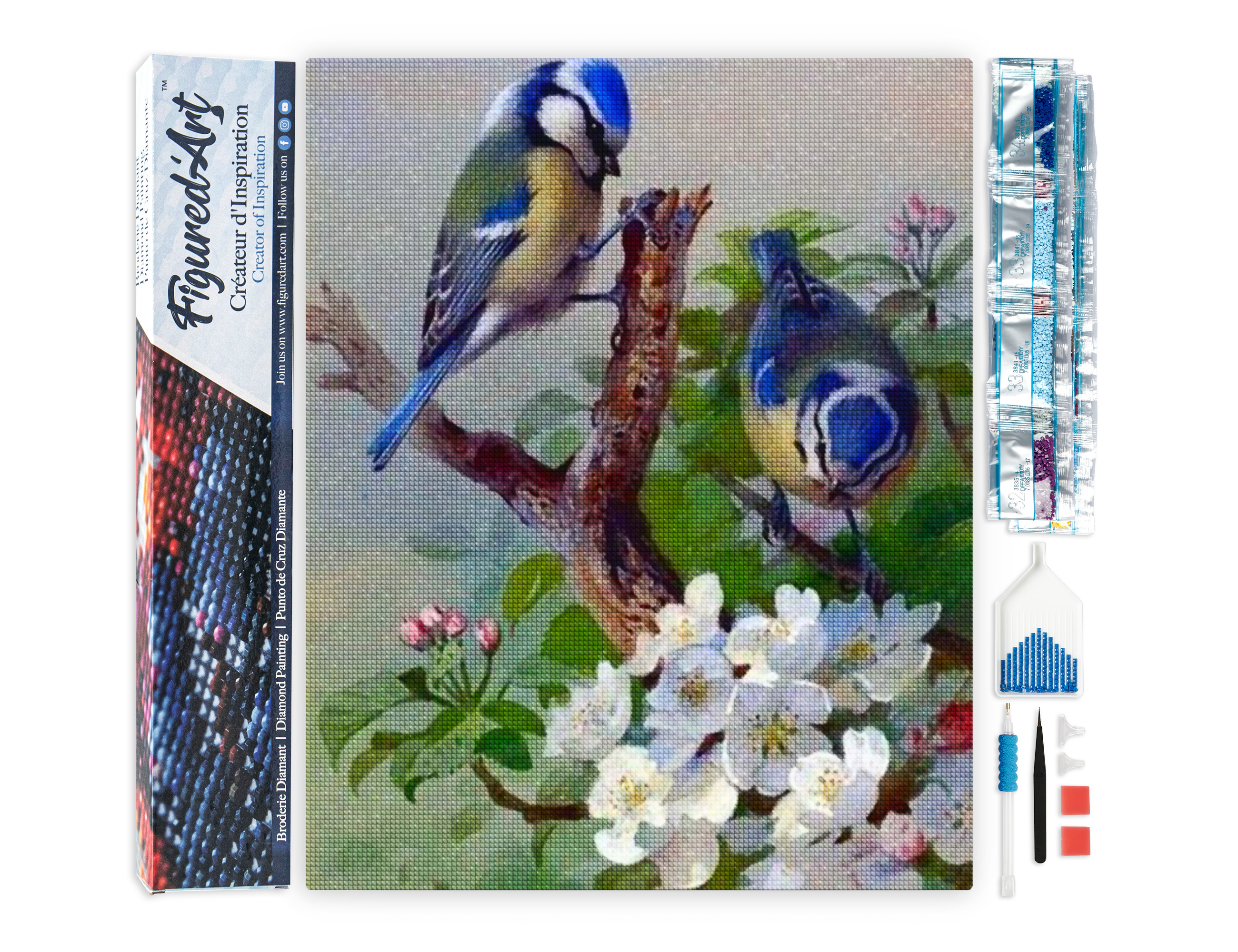 Diamond painting mésanges sur branche