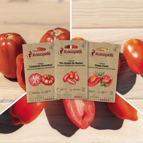 Tomates pour conserves - 3 sachets bio